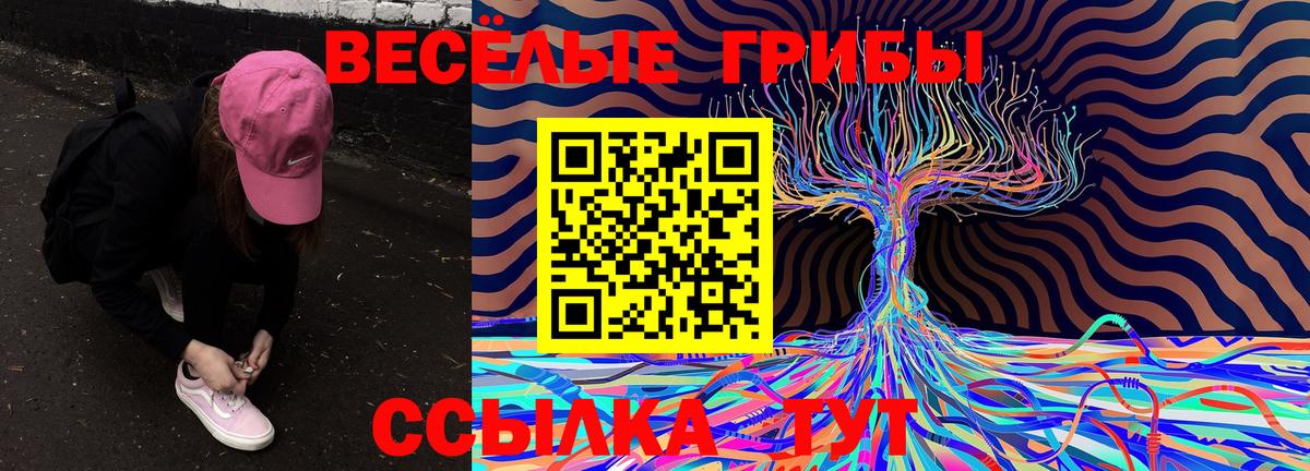 Псилоцибиновые грибы Cubensis Клинцы