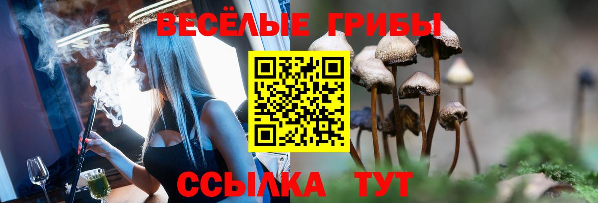 Клинцы  Галлюциногенные грибы Magic Shrooms  Галлюциногенные грибы прущие грибы  купить  сайты  Вход с VPN 